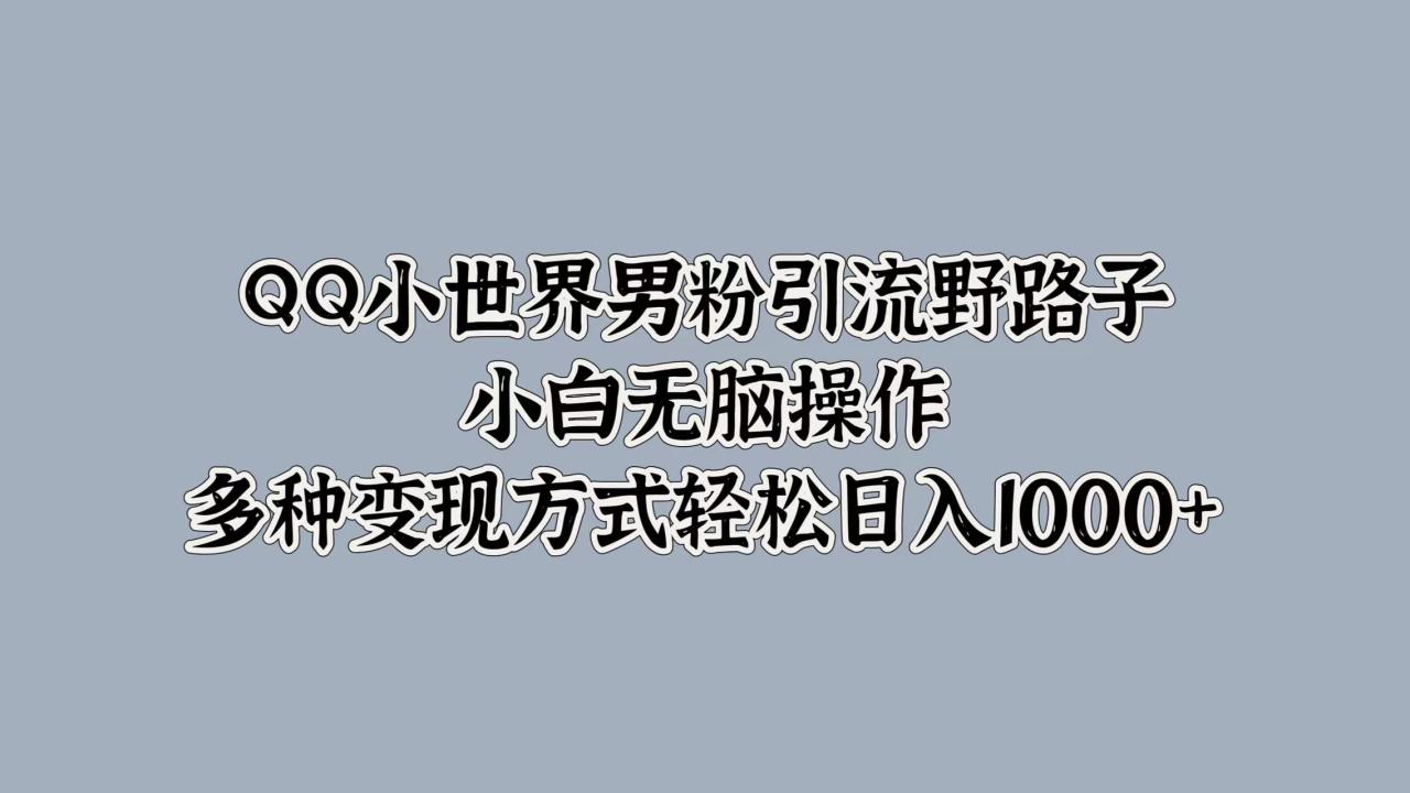 QQ小世界男粉引流野路子，小白无脑操作，多种变现方式轻松日入1000+插图