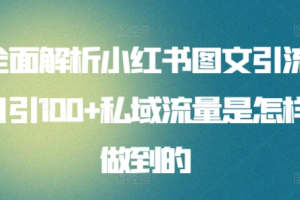 日引流100私域流量小红书图文是怎样做到的全面解析