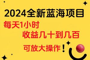 小白有手就行的2024全新蓝海项目，每天1小时收益几十到几百，可放大操作