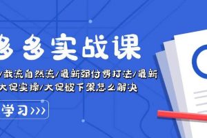 拼多多·实战课：万人团玩法/截流自然流/最新强付费打法/最新原价卡大促..