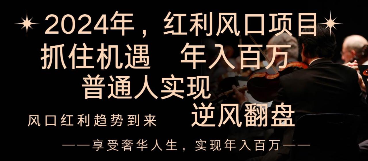 2024红利风口项目来袭，享受第一波红利，逆风翻盘普通人也能实现，年入百万插图