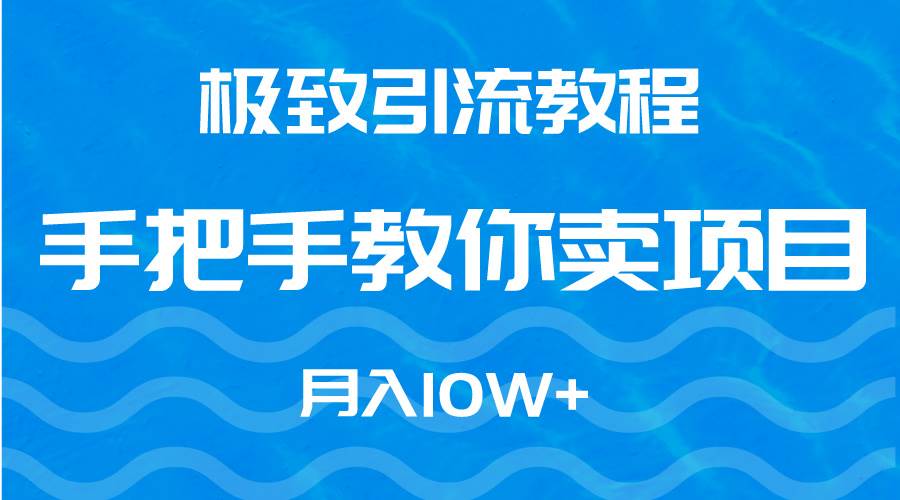 极致引流教程，手把手教你卖项目，月入10W+插图