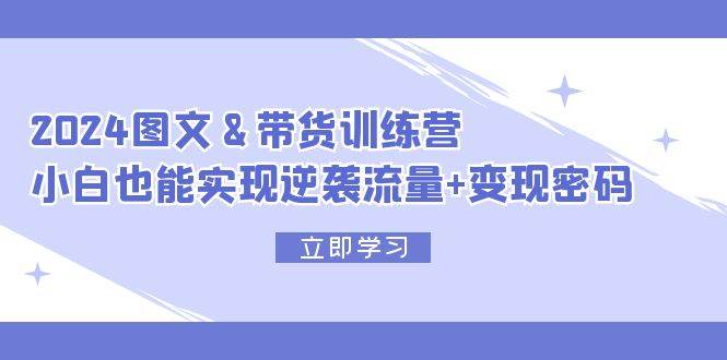 2024 图文+带货训练营，小白也能实现逆袭流量+变现密码插图