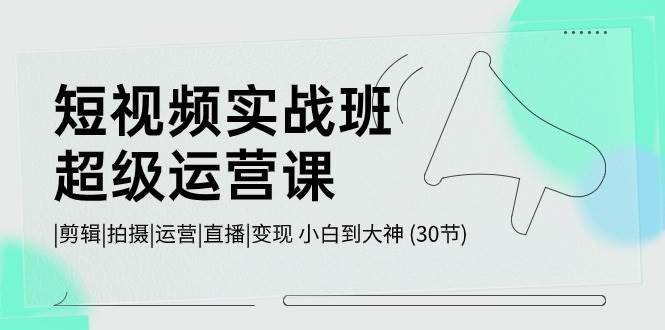 短视频实战班-超级运营课，|剪辑|拍摄|运营|直播|变现 小白到大神 (30节)插图