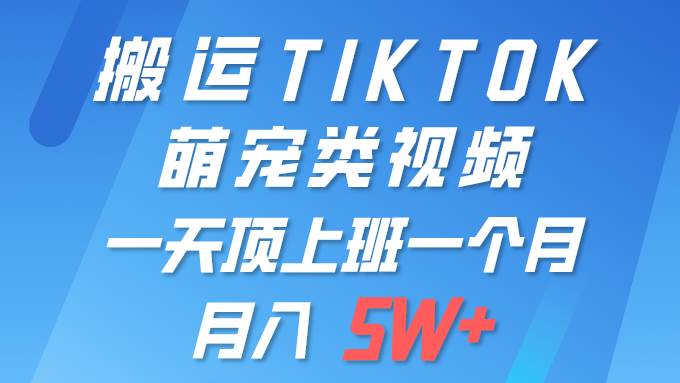 一键搬运TIKTOK萌宠类视频 一部手机即可操作 所有平台均可发布 轻松月入5W+插图