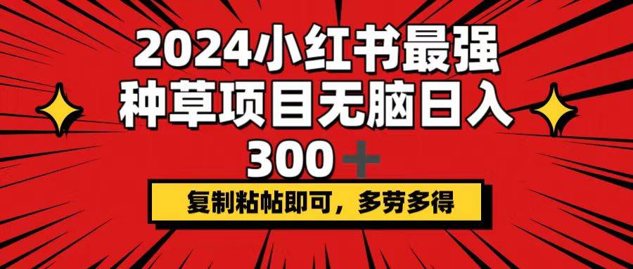 2024小红书最强种草项目，无脑日入300+，复制粘帖即可，多劳多得插图