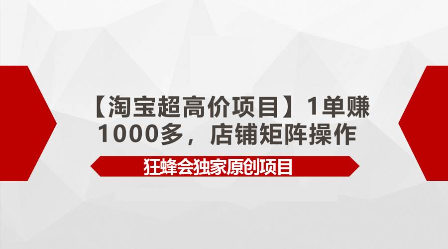 【淘宝超高价项目】1单赚1000多，店铺矩阵操作插图