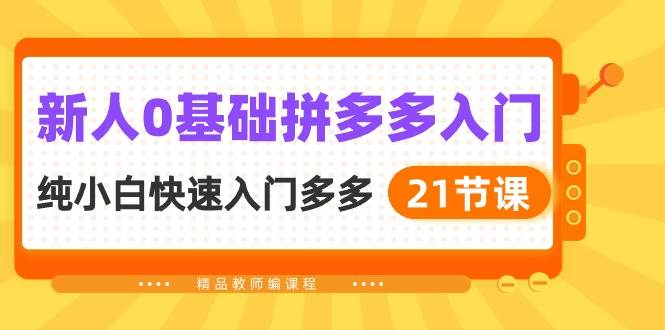 新人0基础拼多多入门，纯小白快速入门多多（21节课）插图