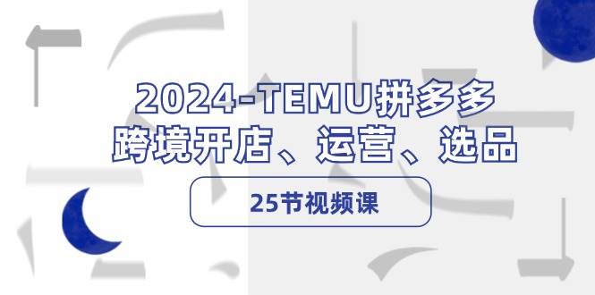 2024-TEMU拼多多·跨境开店、运营、选品（25节视频课）插图