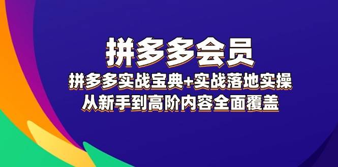 拼多多 会员，拼多多实战宝典+实战落地实操，从新手到高阶内容全面覆盖插图