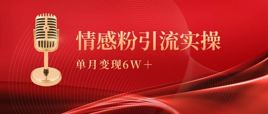 单月变现6w+，情感粉引流变现实操课插图