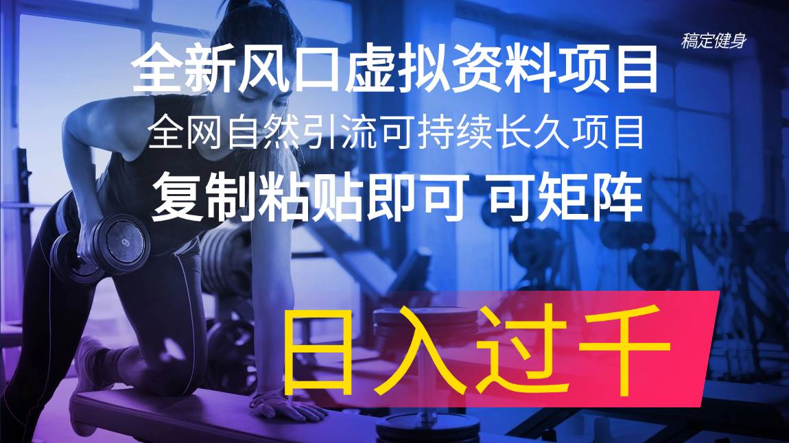 全新风口虚拟资料项目 全网自然引流可持续长久项目 复制粘贴即可可矩阵…插图