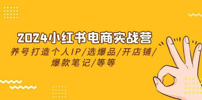 2024小红书电商实战营，养号打造IP/选爆品/开店铺/爆款笔记/等等（24节）插图