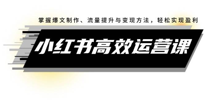 小红书高效运营课：掌握爆文制作、流量提升与变现方法，轻松实现盈利插图