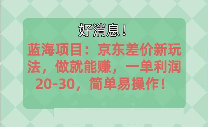 越早知道越能赚到钱的蓝海项目：京东大平台操作，一单利润20-30，简单…插图