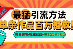 2024年最猛引流方法单条作品百万播放量 当日轻松引流500+高质量创业粉