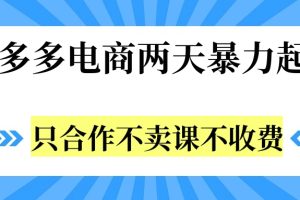 拼多多两天暴力起店，只合作不卖课不收费