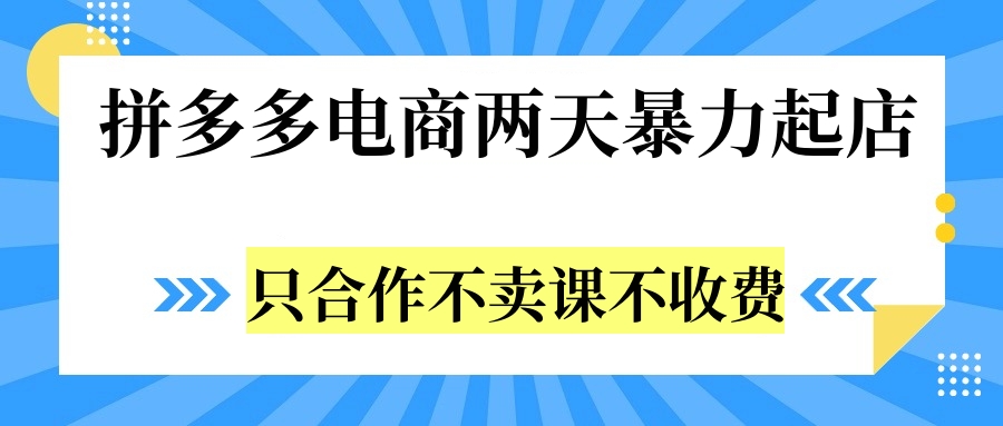 拼多多两天暴力起店，只合作不卖课不收费插图