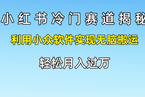 小红书冷门赛道揭秘,轻松月入过万，利用小众软件实现无脑搬运，