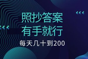 照抄答案，有手就行，每天几十到200低保