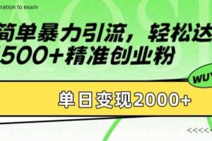 简单暴力引流轻松达到日引500+精准创业粉，单日变现2k【揭秘】