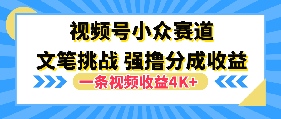 视频号小众赛道，文笔挑战，一条视频收益4K+插图