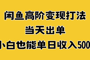 闲鱼高阶变现打法，当天出单，小白也能单日收入500+