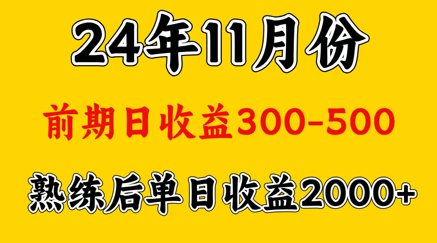 轻资产项目，前期日收益500左右，后期日收益1500-2000左右，多劳多得插图