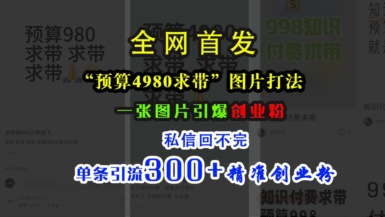 小红书“预算4980带我飞”图片打法，一张图片引爆创业粉，私信回不完，单条引流300+精准创业粉插图