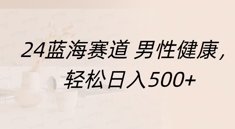 蓝海赛道 男性健康，轻松日入500+插图