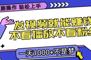 无脑操作，只要发视频就能赚钱？不看播放不看粉丝，小白轻松上手，一天1000+