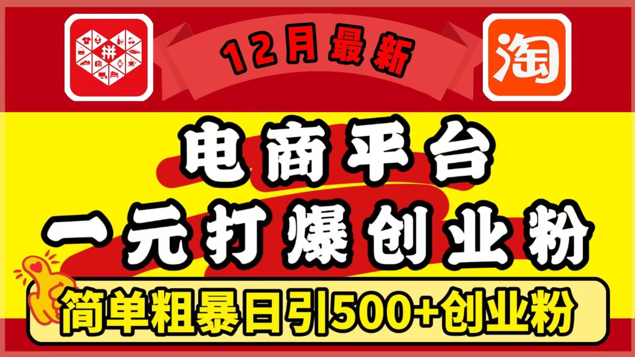 12月最新：电商平台1元打爆创业粉，简单粗暴日引500+精准创业粉，轻松月入5万+插图