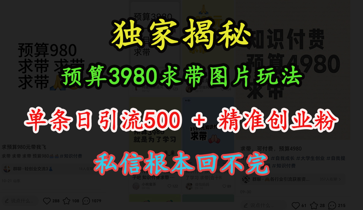 “小红书”预算3980求带 图片玩法，单条日引流500+精准创业粉，私信根本回不完插图