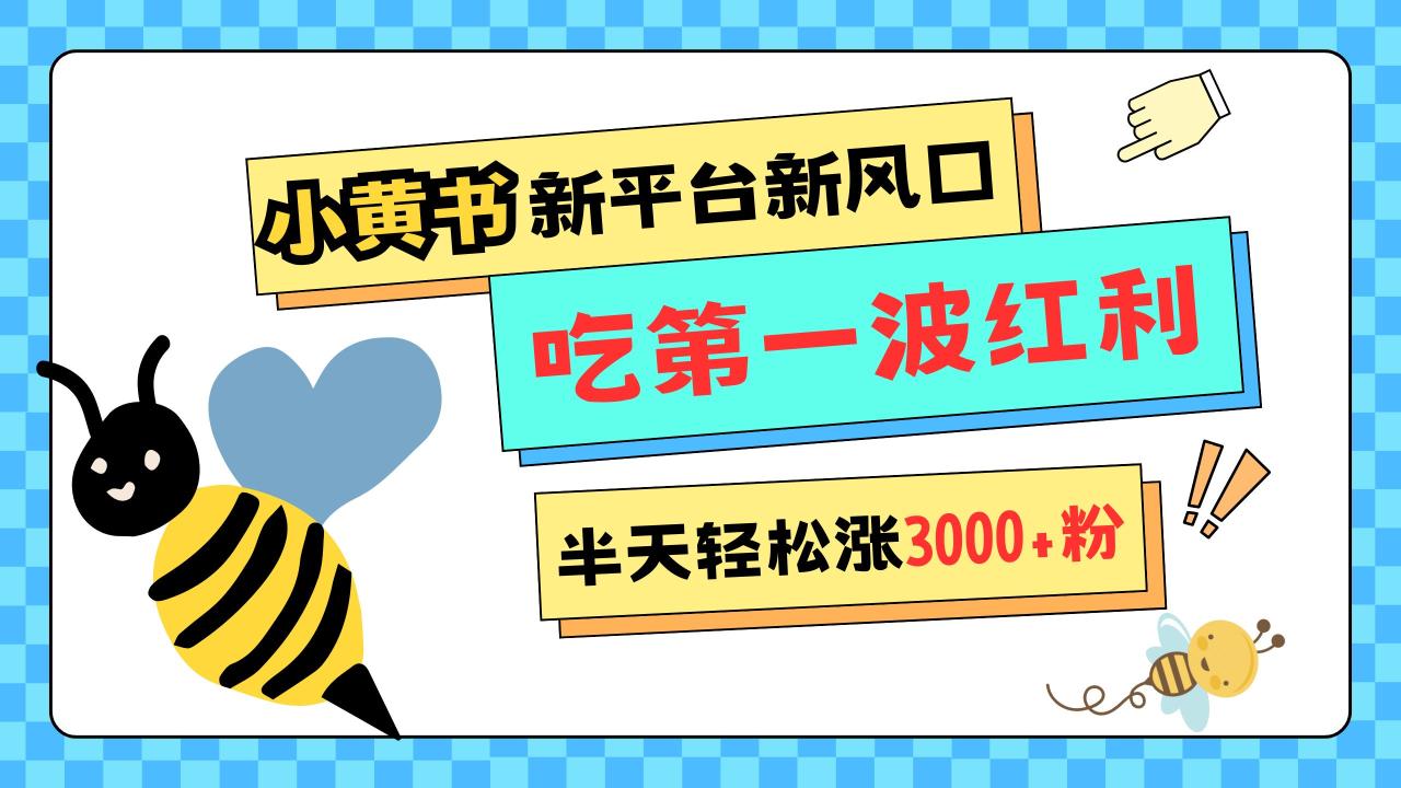 网易版小红书重磅来袭，新平台新风口，管理宽松，半天轻松涨3000粉，第一波红利等你来吃插图