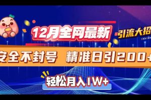 12月全网最新引流大招 安全不封号 日引精准粉200+