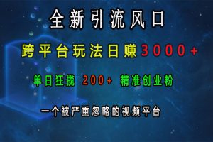 全新引流风口，跨平台玩法日赚3000+，单日狂揽200+精准创业粉，一个被严重忽略的视频平台