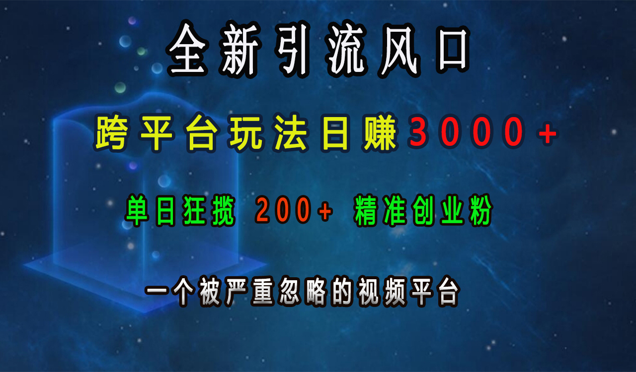 全新引流风口，跨平台玩法日赚3000+，单日狂揽200+精准创业粉，一个被严重忽略的视频平台插图