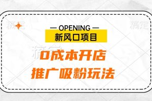 新风口项目、0成本开店、推广吸粉玩法