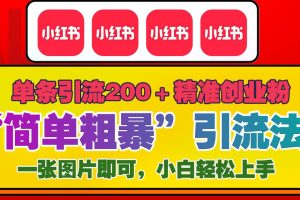 12底最新小红书单日引流200+创业粉，“简单粗暴”引流法，一张图片即可操作，小白轻松上手，私信根本回不完