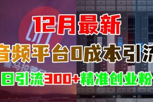 12月最新：音频平台0成本引流，日引300+精准创业粉