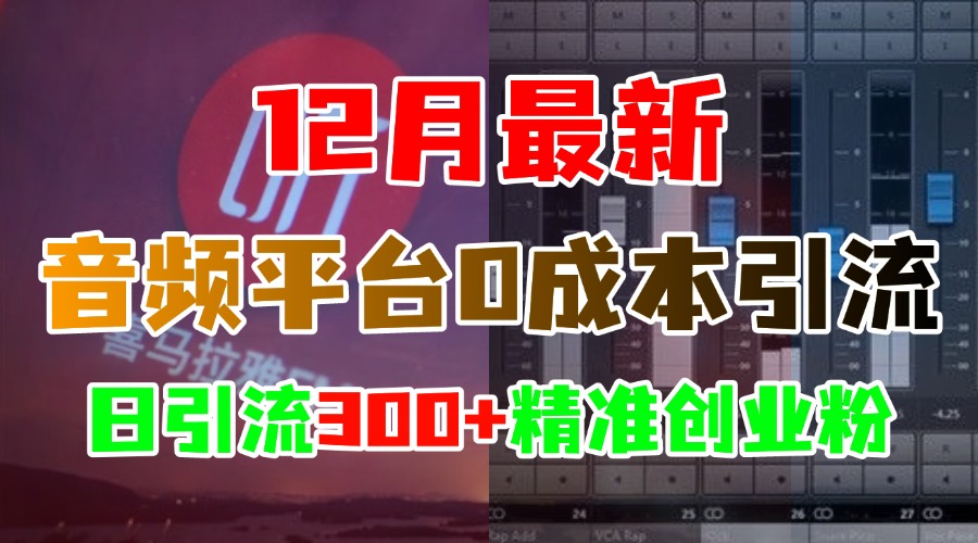 12月最新：音频平台0成本引流，日引300+精准创业粉插图