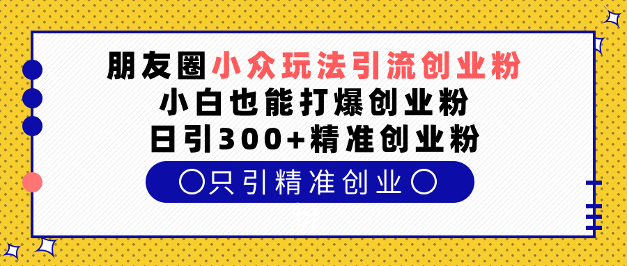 朋友圈小众玩法引流创业粉，小白也能打爆创业粉，日引300+精准创业粉插图