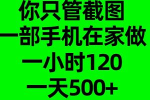 你只管截图，一部手机在家做，一小时120，一天500+