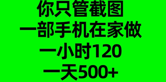 你只管截图，一部手机在家做，一小时120，一天500+插图