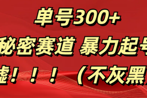 单号300+  秘密赛道 暴力起号  （不灰黑）