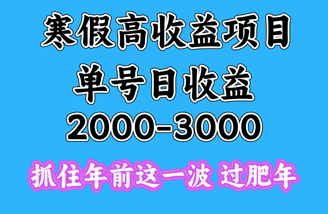 寒假期间一天收益2000-3000+，抓住年前这一波插图