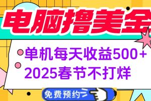 电脑撸美金单机每天收益500+，2025春节不打烊