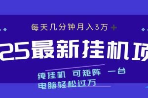 2025最新挂机项目 每天几分钟 一台电脑轻松上万