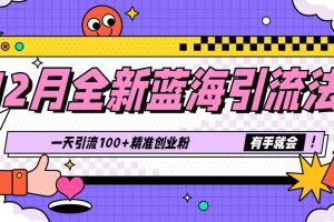 12月全新蓝海引流法，有手就会，一天引流100+精准创业粉