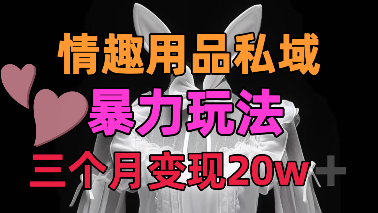 情趣用品私域，25年最新暴力玩法，三个月变现20w➕插图